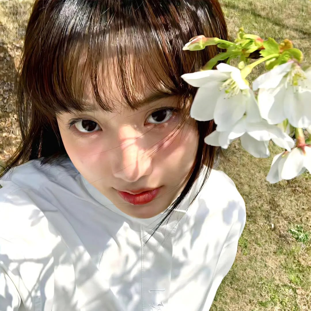 贾希尔