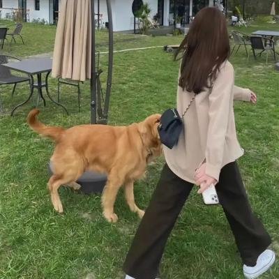 星月无尽